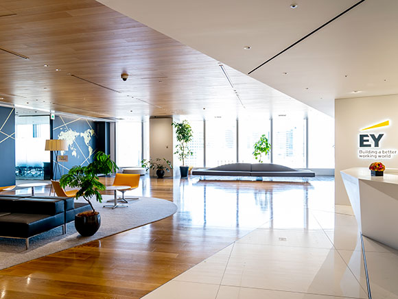 EYストラテジー・アンド・コンサルティング株式会社