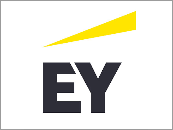 EYストラテジー・アンド・コンサルティング株式会社